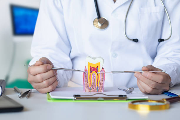 Best Broken Tooth Emergency  in Miami Gardens, FL